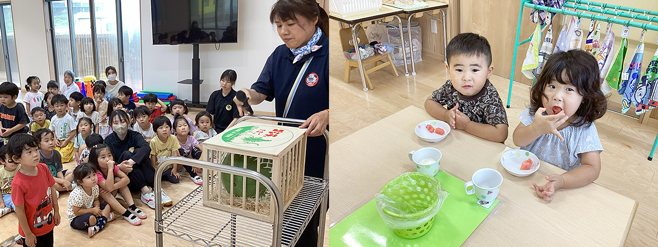 ワクワクドキドキのスイカ